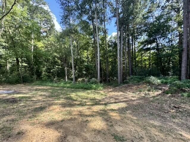 158 Beaverdale Spur, Crandall, GA 30711