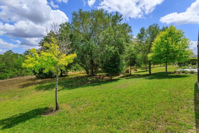 13813 PEACH ORCHARD WAY, Winter Garden, FL 34787