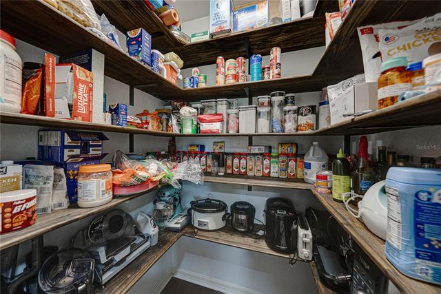 3167 BLACKWATER OAKS WAY, Mulberry, FL 33860