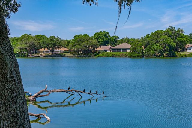 3167 BLACKWATER OAKS WAY, Mulberry, FL 33860