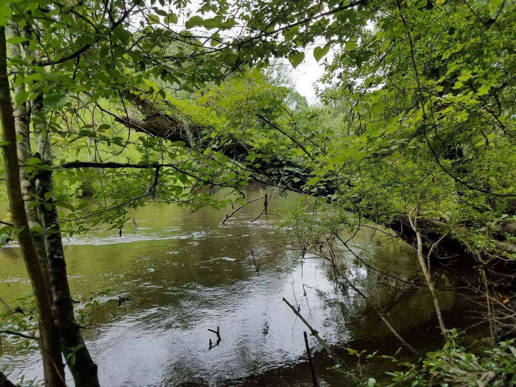 0000 Pierce Road, Ridgeville, SC 29472