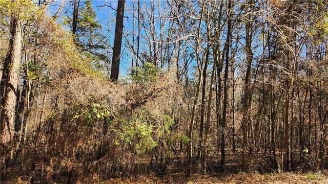 Lot 32 Starlight Lane, Fair Play, SC 29643