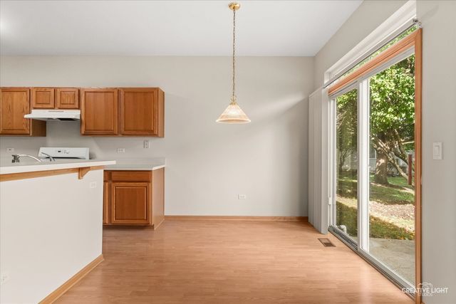 21162 W Cypress Lane, Plainfield, IL 60544