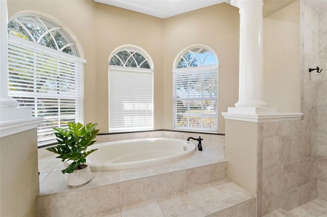 21235 SKY VISTA DRIVE, Land O Lakes, FL 34637