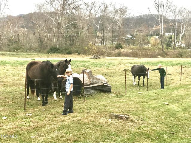 426 River Island Road, Elizabethton, TN 37643