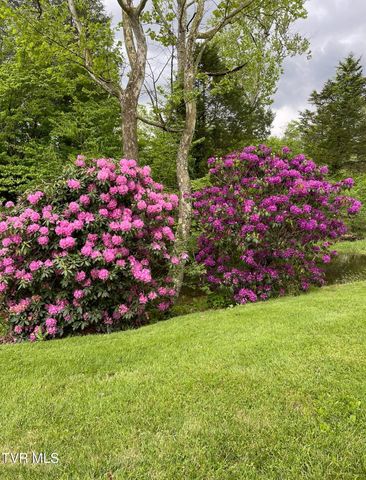 426 River Island Road, Elizabethton, TN 37643