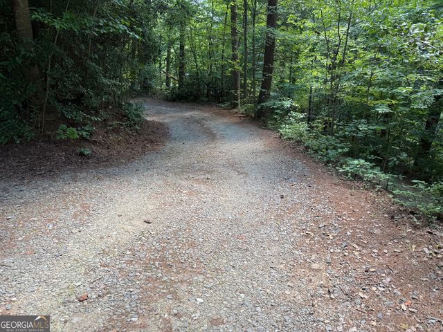 204 Dover Chapel Terrace, Ellijay, GA 30540