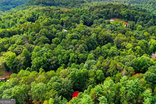 204 Dover Chapel Terrace, Ellijay, GA 30540