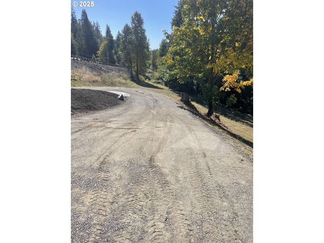 151 ALPHA Dr, Longview, WA 98632