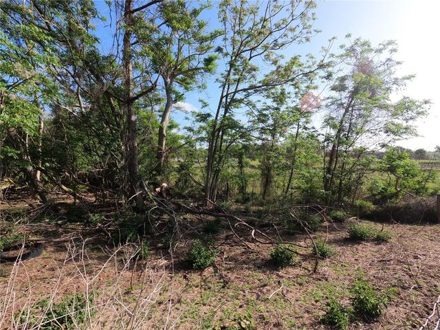 0 EARTH STAR LANE, Groveland, FL 34736