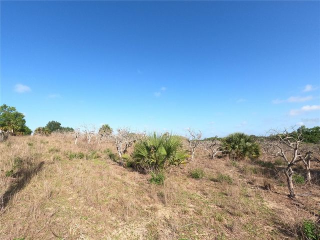 0 EARTH STAR LANE, Groveland, FL 34736