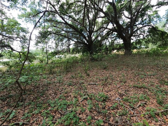 0 EARTH STAR LANE, Groveland, FL 34736
