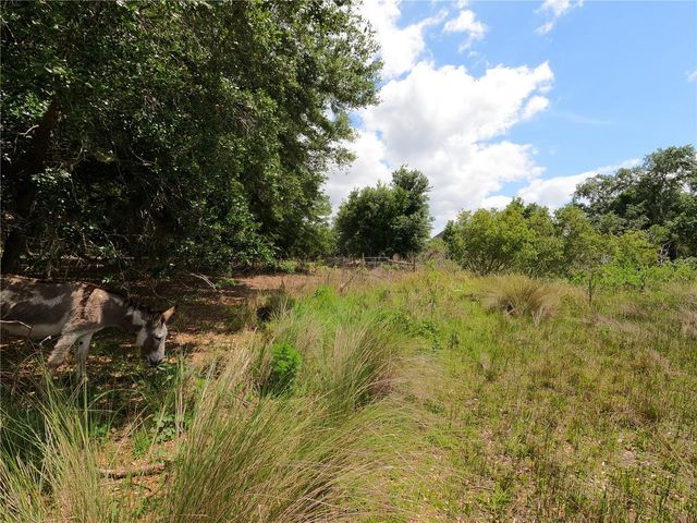 0 EARTH STAR LANE, Groveland, FL 34736