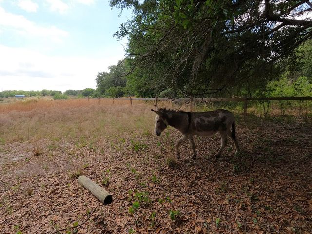 0 EARTH STAR LANE, Groveland, FL 34736