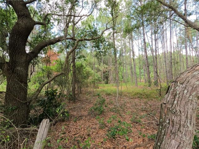 0 EARTH STAR LANE, Groveland, FL 34736