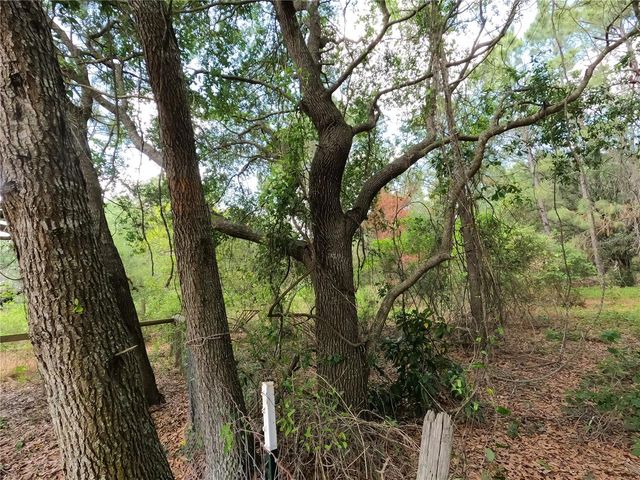 0 EARTH STAR LANE, Groveland, FL 34736