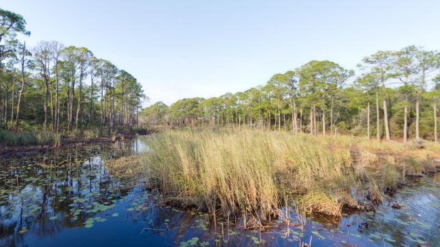 2046 W County Highway 30A M2422, Santa Rosa Beach, FL 32459