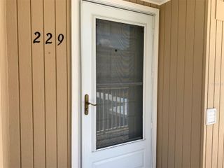 150 HARBORSIDE AVENUE 229, Punta Gorda, FL 33950