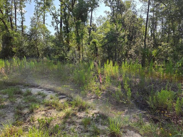 Lot 37 SW HUNTER HILL AVENUE, Dunnellon, FL 34431