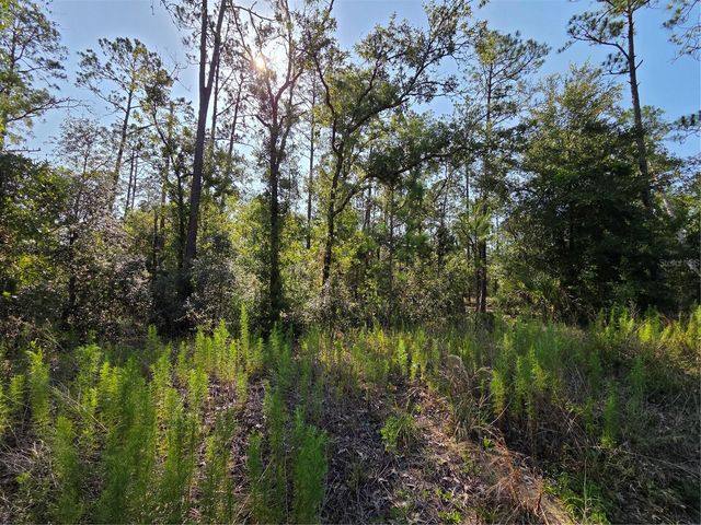 Lot 37 SW HUNTER HILL AVENUE, Dunnellon, FL 34431