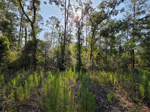Lot 37 SW HUNTER HILL AVENUE, Dunnellon, FL 34431