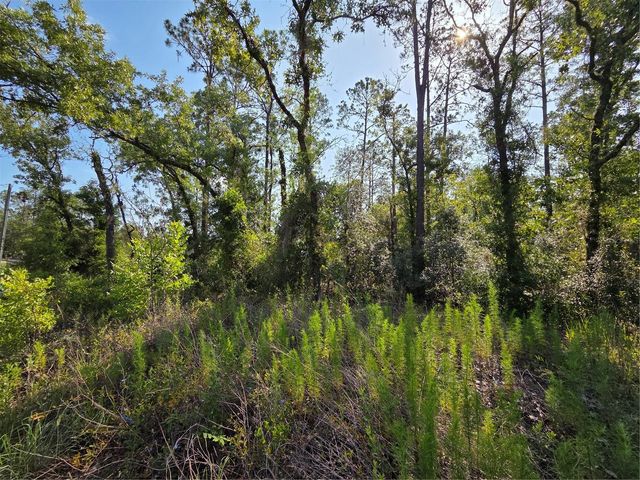 Lot 37 SW HUNTER HILL AVENUE, Dunnellon, FL 34431