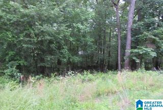 DELMAR DRIVE, Mccalla, AL 35111