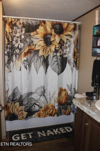 133 Peach Lane, Wartburg, TN 37887