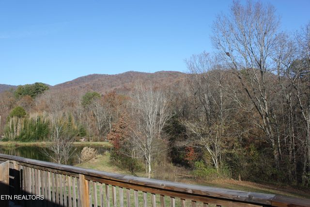 133 Peach Lane, Wartburg, TN 37887