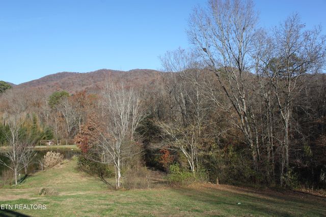 133 Peach Lane, Wartburg, TN 37887