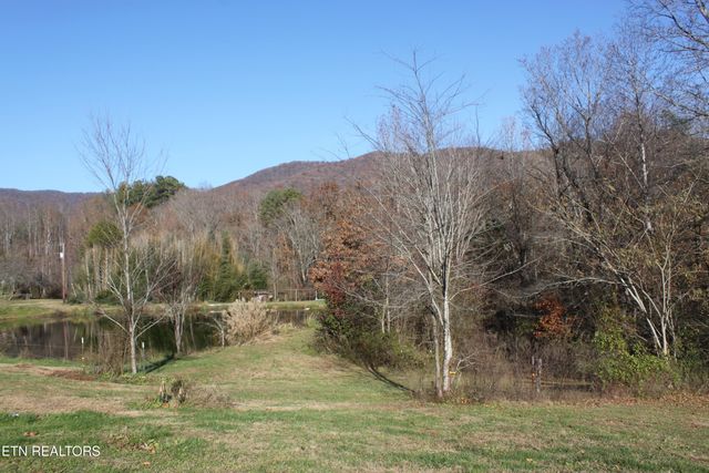 133 Peach Lane, Wartburg, TN 37887