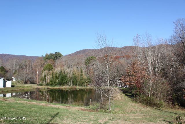 133 Peach Lane, Wartburg, TN 37887