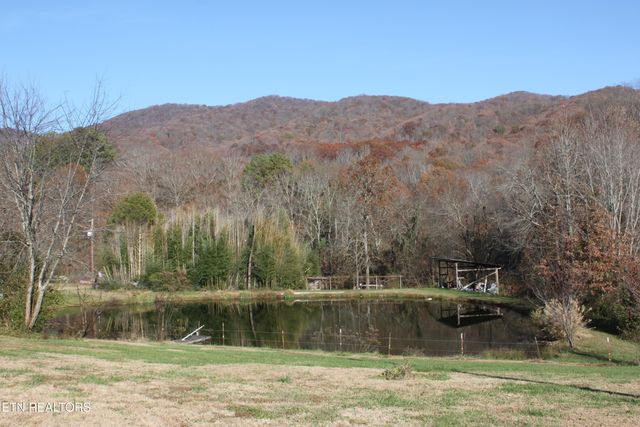 133 Peach Lane, Wartburg, TN 37887