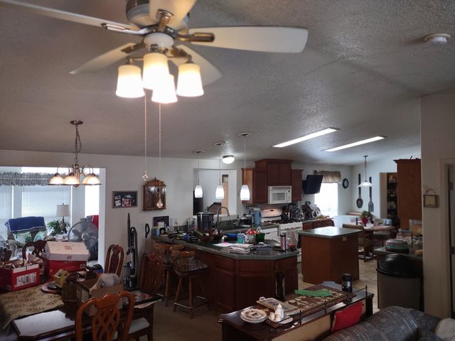 5105 Rose Hill Rd, Springdale, WA 99173