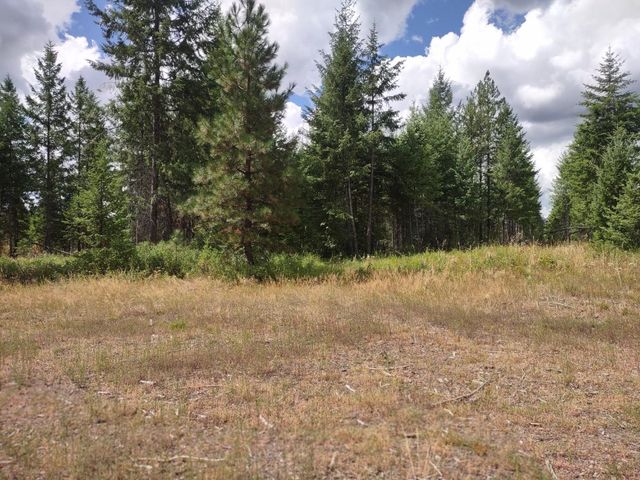 5105 Rose Hill Rd, Springdale, WA 99173