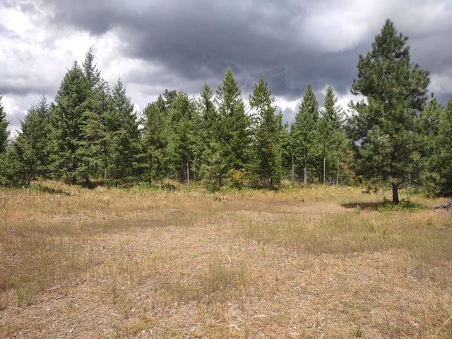 5105 Rose Hill Rd, Springdale, WA 99173