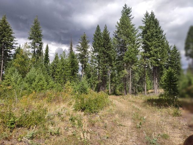 5105 Rose Hill Rd, Springdale, WA 99173