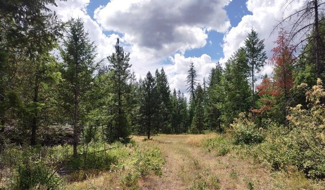 5105 Rose Hill Rd, Springdale, WA 99173