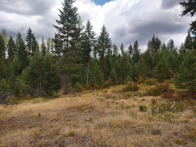 5105 Rose Hill Rd, Springdale, WA 99173