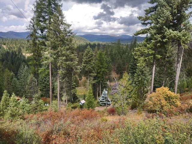 5105 Rose Hill Rd, Springdale, WA 99173