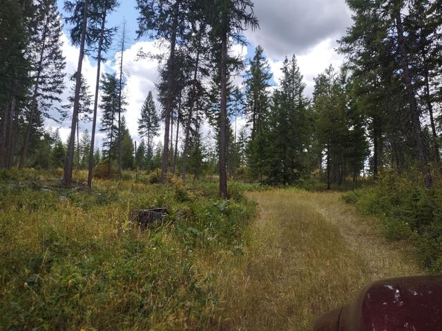 5105 Rose Hill Rd, Springdale, WA 99173