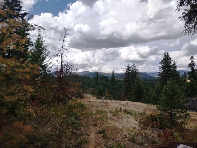 5105 Rose Hill Rd, Springdale, WA 99173