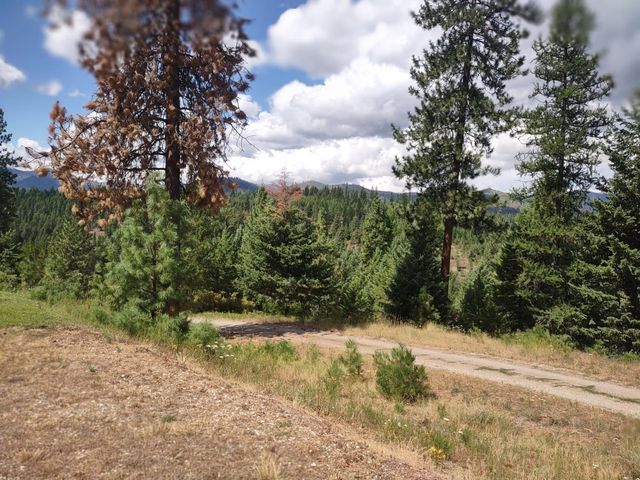 5105 Rose Hill Rd, Springdale, WA 99173