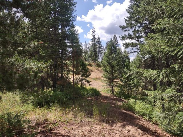 5105 Rose Hill Rd, Springdale, WA 99173