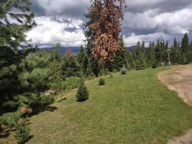 5105 Rose Hill Rd, Springdale, WA 99173