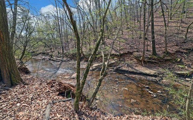 390 Colony Cove, Alpharetta, GA 30022