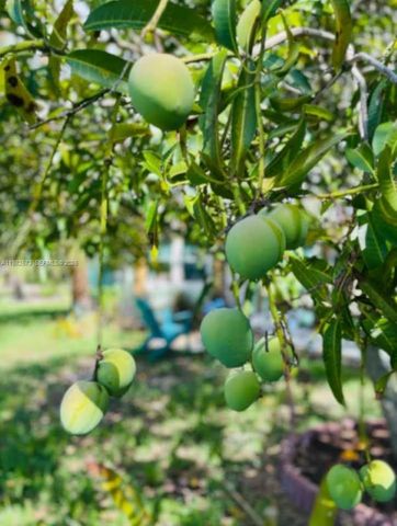 213 N E St, Lake Worth, FL 33460