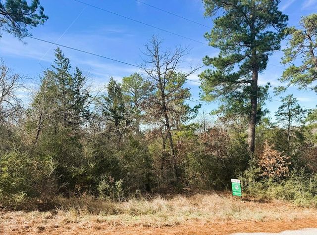 106 Olomana CT, Bastrop, TX 78602