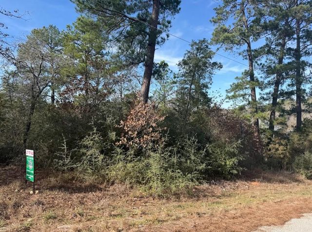 106 Olomana CT, Bastrop, TX 78602