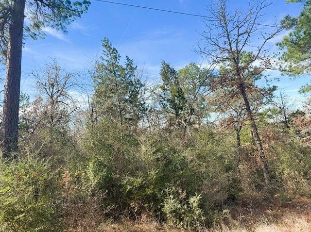 106 Olomana CT, Bastrop, TX 78602